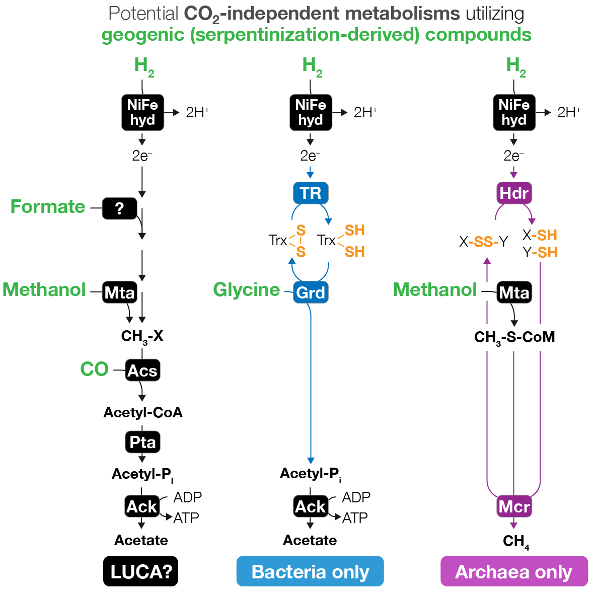 CO2.png